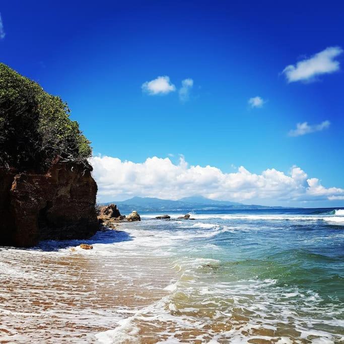 Charmant Et Spacieux Studio A 50M De La Plage ル・ディアマン エクステリア 写真