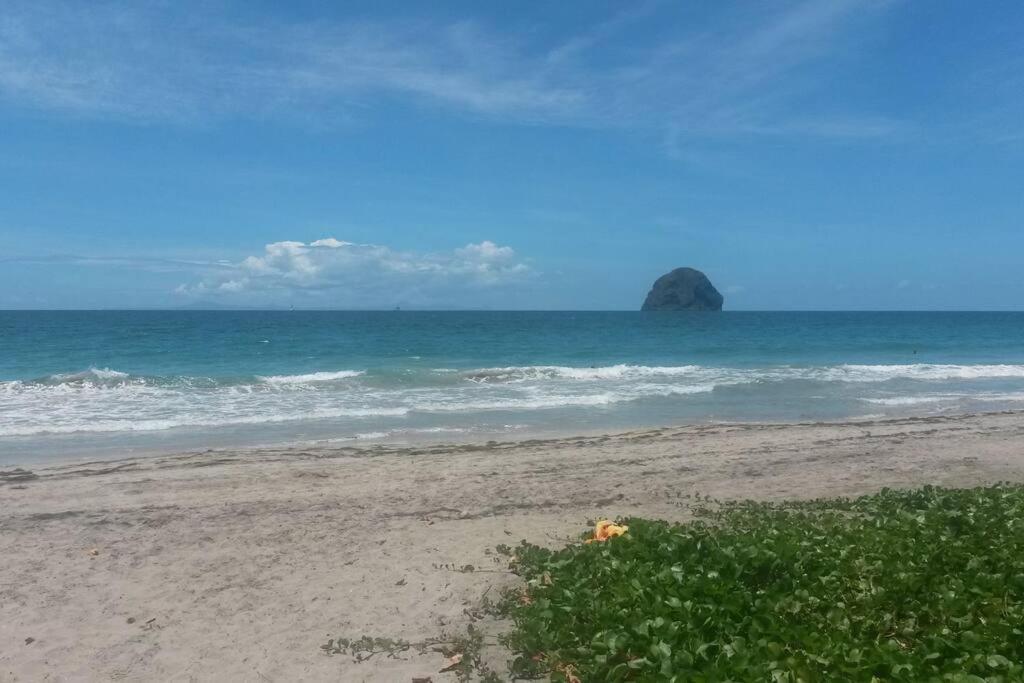 Charmant Et Spacieux Studio A 50M De La Plage ル・ディアマン エクステリア 写真